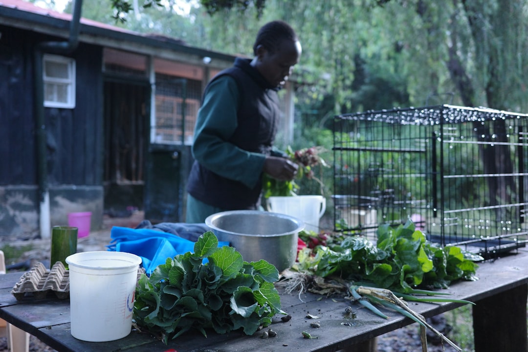 Chef préparant un plat avec des ingrédients frais de qualité